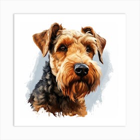 Portrait Of A Welsh Terrier Art Print