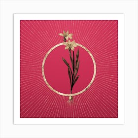 Gold Ixia Liliago Glitter Ring Botanical Art on Viva Magenta n.0117 Art Print