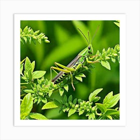 Grasshoppers Insects Jumping Green Legs Antennae Hopper Chirping Herbivores Garden Fields (14) Art Print