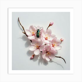 Beetle On Cherry Blossom Art Print