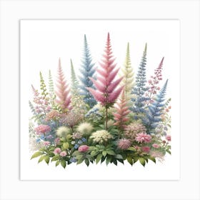 Astilbe 2 Art Print