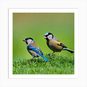 Two Birds On Grass Art Print