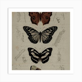 Butterflies And Moths 1 Art Print