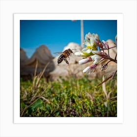 Bee On Flower Art Print