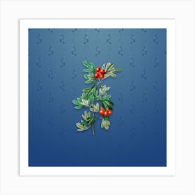 Vintage Morocco Hawthorn Flower Botanical on Bahama Blue Pattern n.0455 Art Print