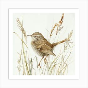 Wren Bird Drawing 2 Art Print