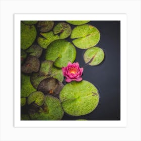 Placidity Square Art Print