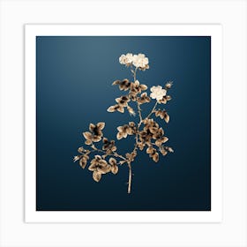 Gold Botanical White Sweetbriar Rose on Dusk Blue n.3511 Art Print