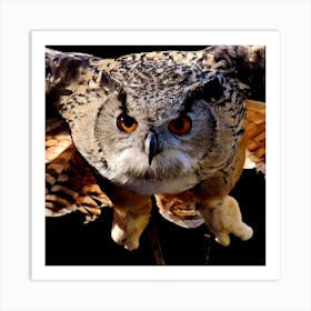 Eagle Owl Art Print