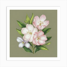 Apple Blossoms Art Print