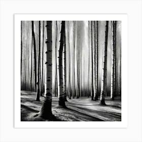 Birch Forest 39 Art Print