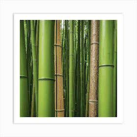 Bamboo Forest Art Print