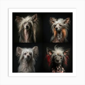 Portrait Of Chinese Crested Dogs and others Art Print