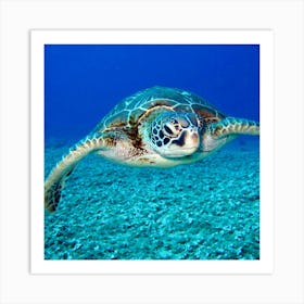 Green Turtle Art Print