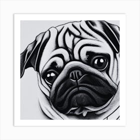 Pug Dog6 Art Print