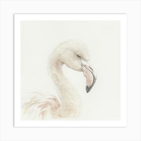 Flamingo 6 Art Print