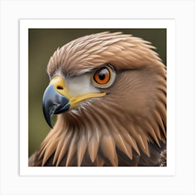 National Geographic Realistic Illustration Aigle D Or T Te En Gros Plan Portrait D Un Oiseau De Proie Gros Plan 2 Art Print