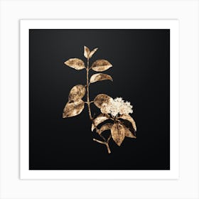 Gold Botanical Black Haw on Wrought Iron Black n.0719 Art Print