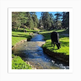 Cows Grazing In A Stream Art Print