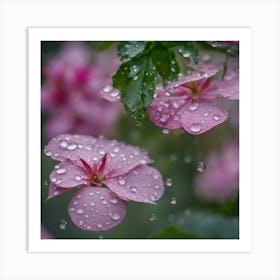 Raindrops On Pink Flowers Art Print