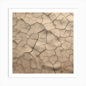 Cracked Sand 3 Art Print