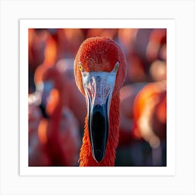 Flamingo 70 Art Print