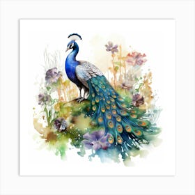 Peacock 1 Art Print