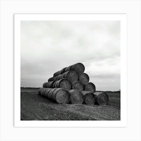 Poland agriculture 1 Art Print