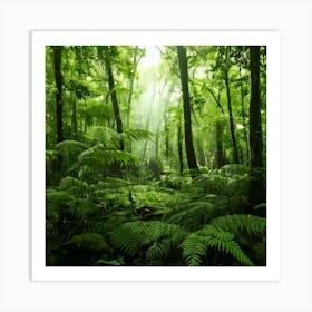 Firefly Rainforest Forest Background 25252 Poster