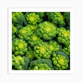 Close Up Of Broccoli 3 Art Print