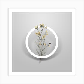 Vintage Adenocarpus Minimalist Flower Geometric Circle on Soft Gray n.0297 Art Print