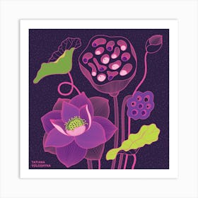 Lotus Flowers Square Art Print