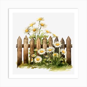 Daisies On A Fence Art Print