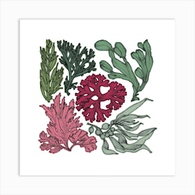 Retro Botanical Seaweed Square Art Print