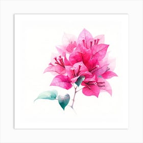 Watercolor Pink Bougainvillea Flower Art Print