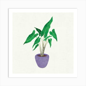 Elephant Ear Plant Art Print