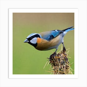 Tit on branch 39 Art Print