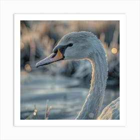 Beautiful Swan 5 Art Print