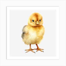 Png Chicken Art Print