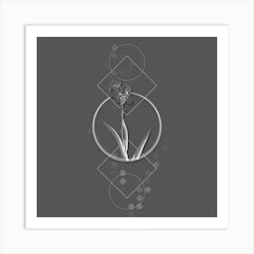 Vintage Tall Bearded Iris Botanical with Line Motif and Dot Pattern in Ghost Gray n.0040 Art Print