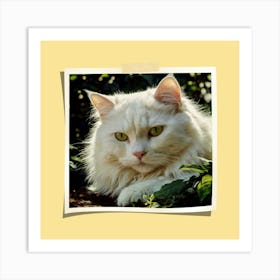 White Cat With Green Eyes Art Print