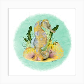 Seahorse/Hyppocampe Art Print
