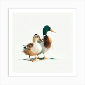 Ducks Art Print