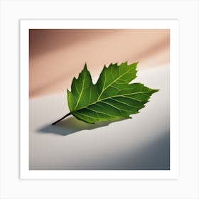 Leaf - Leaf Stock Videos & Royalty-Free Footage Art Print