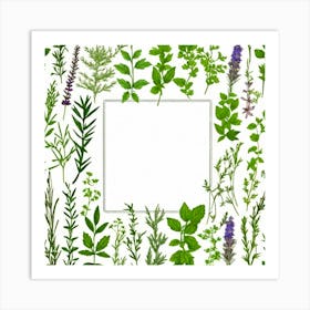 Frame Of Herbs 40 Art Print