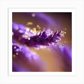 Close Up Of Lavender Flower Affiche