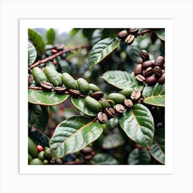 Coffee Beans On A Tree 5 Art Print