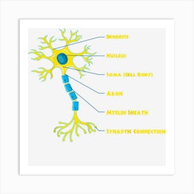 Neuroscientist Nucleus Neurobiologist Neuroscience Biology Art Print