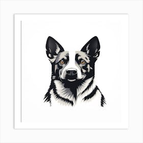 Australian Shepherd Dog4 Art Print