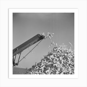 Untitled Photo, Possibly Related To Cornsheller Throwing Cobs On Pile, Illinois By Russell Lee Art Print